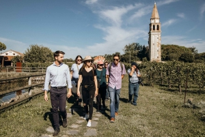 Venice:Half Day Islands Tour & Secret Vineyard Wine Tasting