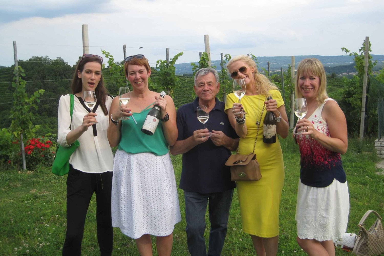 Tour Privado del Vino de Venetian Hills