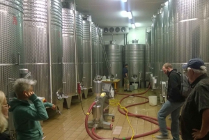 Private 7-Hour Prosecco Wine Tour from Venice or Padua