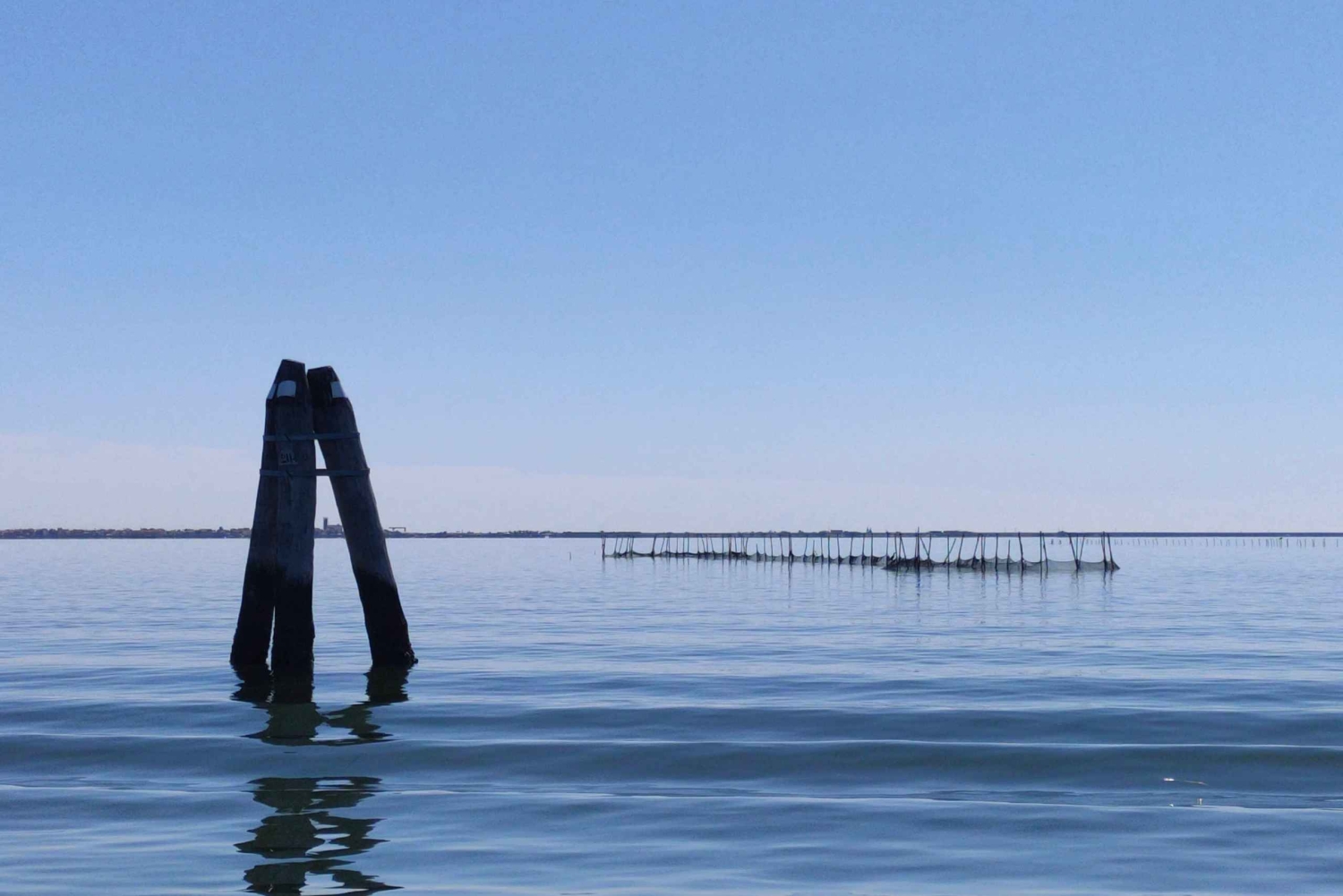 Tour privato in barca alla scoperta della Laguna da Chioggia