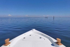 Tour privato in barca alla scoperta della Laguna da Chioggia