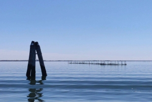 Tour privato in barca alla scoperta della Laguna da Chioggia