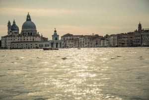 Private Cruise: Venice Viewed by the Water
