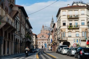 Private Tour nach Padua von Venedig aus