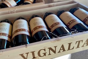 Tour privato dei vini delle colline veneziane