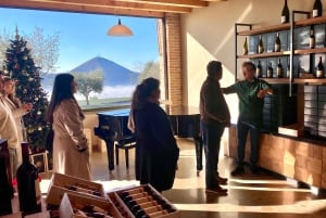 Tour privato dei vini delle colline veneziane