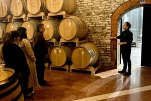 Tour privato dei vini delle colline veneziane