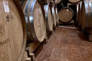 Tour privato dei vini delle colline veneziane