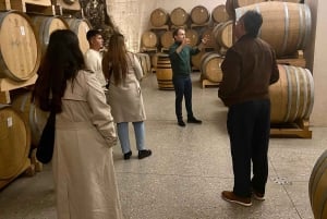Tour privato dei vini delle colline veneziane