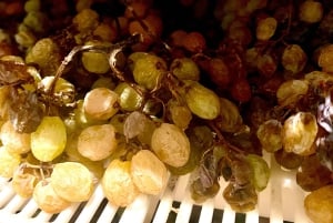 Tour privato dei vini delle colline veneziane