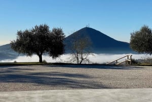 Tour privato dei vini delle colline veneziane
