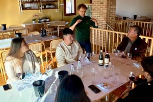 Tour privato dei vini delle colline veneziane