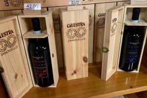 Tour privato dei vini delle colline veneziane