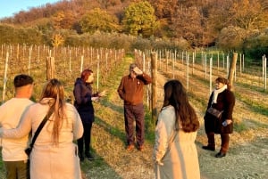 Tour privato dei vini delle colline veneziane