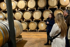 Tour privato dei vini delle colline veneziane