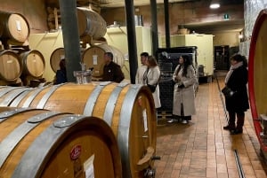Tour privato dei vini delle colline veneziane