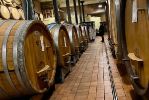 Tour privato dei vini delle colline veneziane
