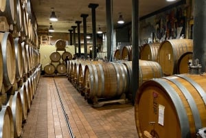 Tour privato dei vini delle colline veneziane