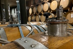 Tour privato dei vini delle colline veneziane