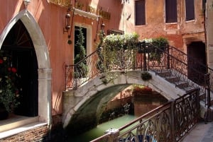 Private Walking Tour in Venice