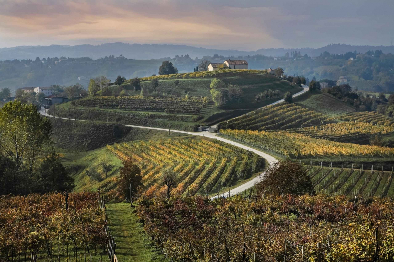 Prosecco Hills bike tour from Venice