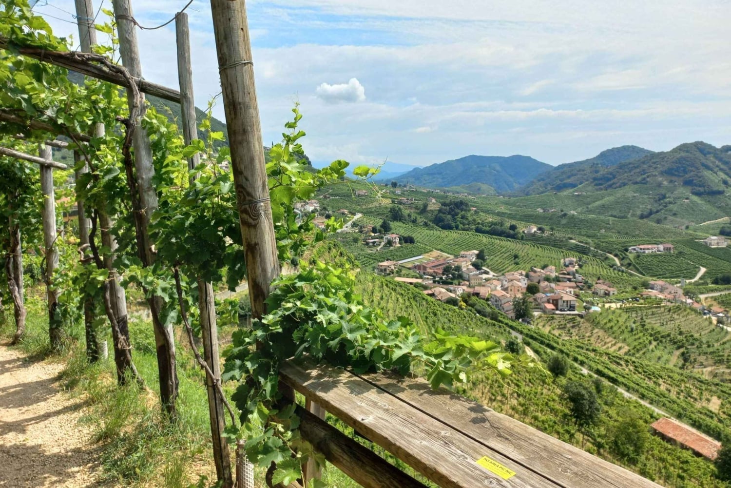 Prosecco-bakkerne: Dagstur fra Venedig og Treviso: 2 vingårde