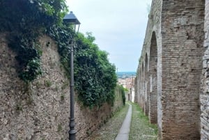 Prosecco-bakkerne: Dagstur fra Venedig og Treviso: 2 vingårde