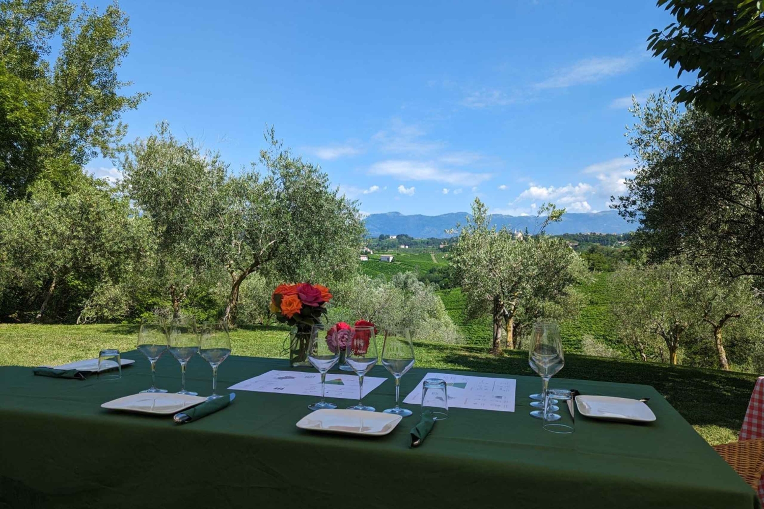 Prosecco Hills Private Tour All inclusive. 2 wineries+lunch