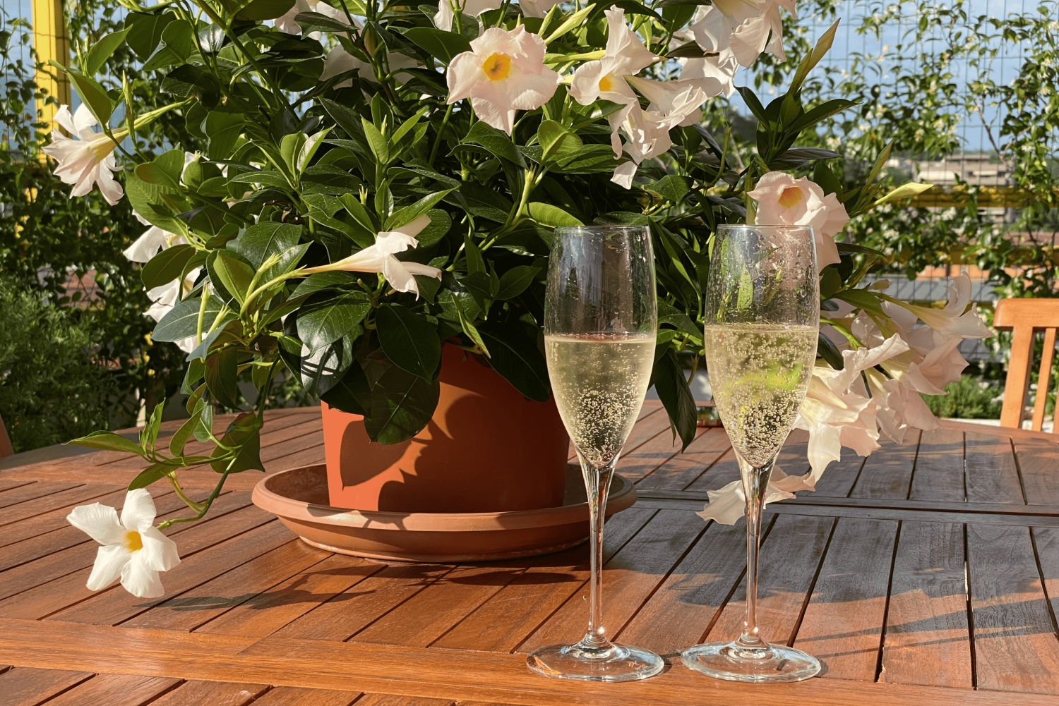 Prosecco Hills Private Tour All inclusive. 2 wineries+lunch