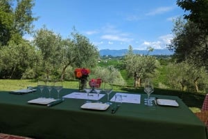 Prosecco Hills Private Tour All inclusive. 2 wineries+lunch