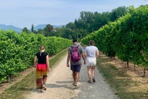 Privat tur til Prosecco-bakkerne Alt inklusive. 2 vingårde + frokost