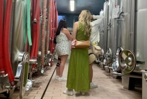 Privat tur til Prosecco-bakkerne Alt inklusive. 2 vingårde + frokost