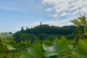 Privat tur til Prosecco-bakkerne Alt inklusive. 2 vingårde + frokost
