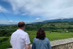 Prosecco Hills Private Tour All inclusive. 2 wineries+lunch