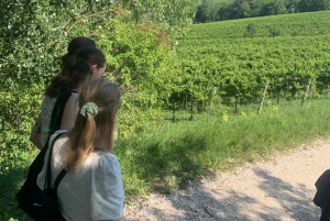 Prosecco Hills Private Tour All inclusive. 2 wineries+lunch