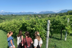 Prosecco Hills Private Tour All inclusive. 2 wineries+lunch