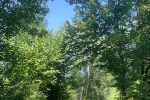 Prosecco Hills Private Tour All inclusive. 2 wineries+lunch