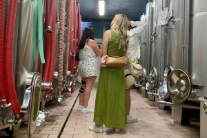 Prosecco Hills Private Tour All inclusive. 2 wineries+lunch