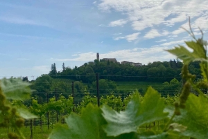 Prosecco Hills Private Tour All inclusive. 2 wineries+lunch