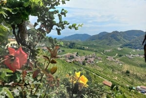 Prosecco Hills Wine and Food Tour from Venice and Treviso