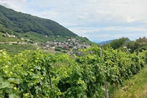 Prosecco Hills Wine and Food Tour from Venice and Treviso