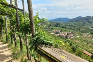 Prosecco Hills Wine and Food Tour from Venice and Treviso