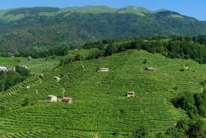 Prosecco Road: Full Day Tour and Wine Tasting