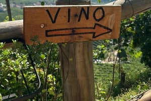 Prosecco: Fiesta enogastronómica en una osteria familiar