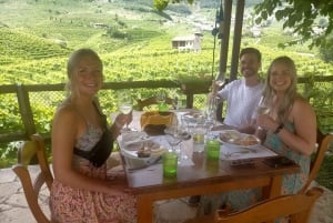 Prosecco-viininmaistelukierros. Puoli päivää. Venetsiasta