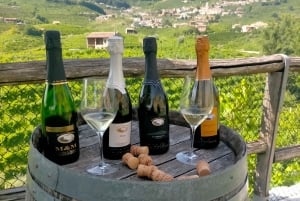 Prosecco-viininmaistelukierros. Puoli päivää. Venetsiasta