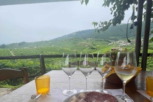 Prosecco-viininmaistelukierros. Puoli päivää. Venetsiasta