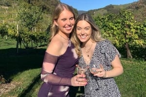 Prosecco-viininmaistelukierros. Puoli päivää. Venetsiasta