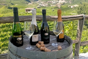Prosecco Wine Tour. Full Day - 2 Wineries. From Venice