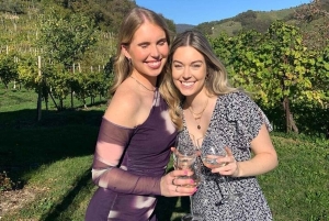 Prosecco-viinikierros. Koko päivä - 2 viinitilaa. Venetsiasta